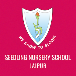 Seedling Modern High Nursery School, Tilak Nagar