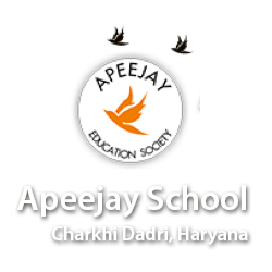 Apeejay School