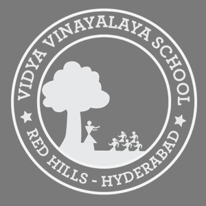 Vidya Vinayalaya School, Lakdikapul