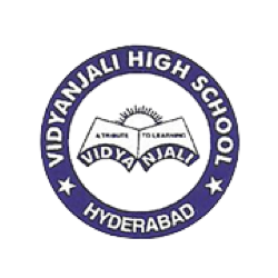 Vidyanjali High School