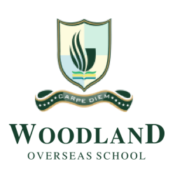Woodland Overseas School, Sataur