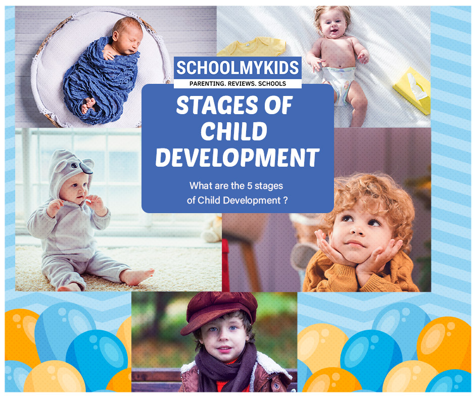 Baby Life Cycle Stages