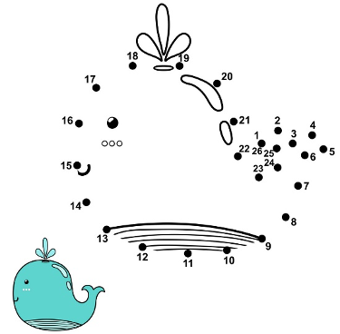 File:03 01 02 development of clamp connection (M. Piepenbring).png -  Wikimedia Commons