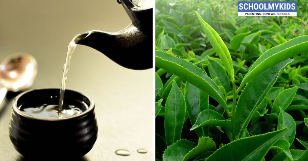 Does Green Tea Help You Lose Weight? Green Tea for Weight Loss