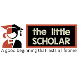 The Little Scholar Play School, Sector 19