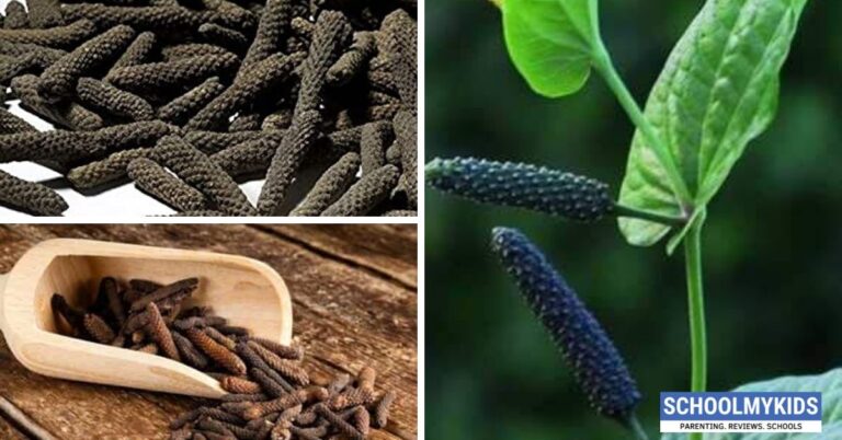 Pippali (Indian Long Pepper): Health Benefits, Uses, Side Effects