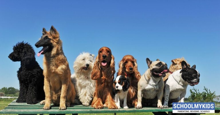 10 Best Dog Breeds for Families and Kids