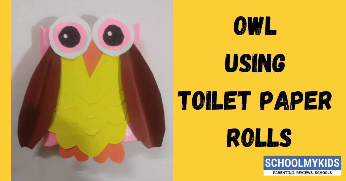 Toilet Paper Roll Owls - DIY Crafts for Kids