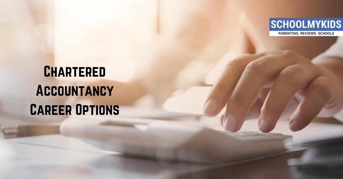 Chartered Accountancy Career Options