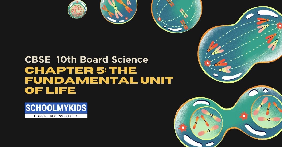 CBSE Class 10 Science: The Fundamental Unit of Life