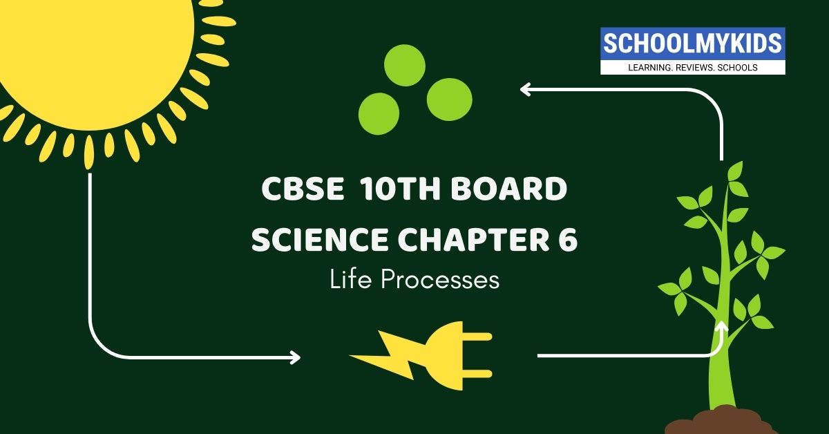 CBSE 10th Board Science:  Chapter 5 – Life Processes