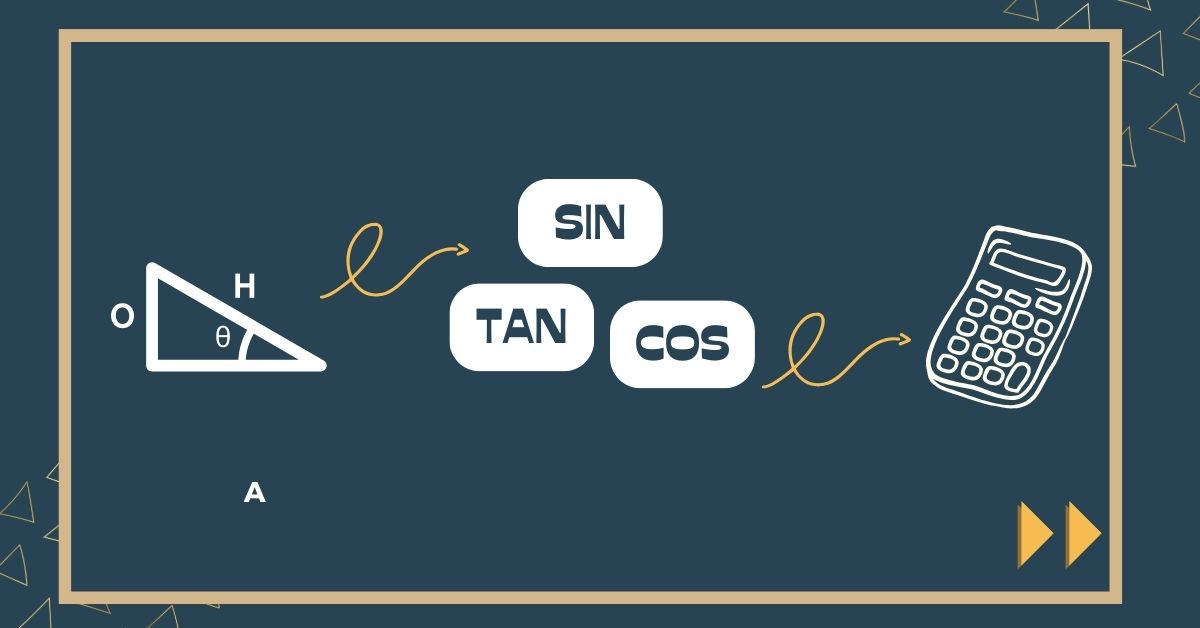 CBSE Class 10th Maths: Chapter 8 – Introduction to Trigonometry (Formulas and Examples)