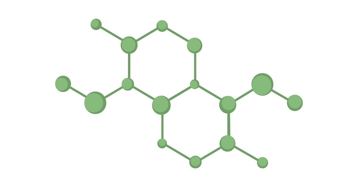 CBSE Class 10 Science: Chapter 4 – Carbon and its Compounds