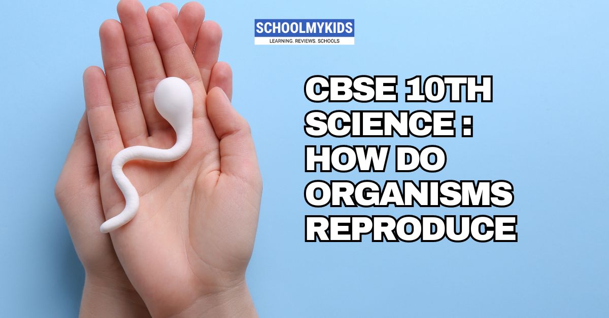 CBSE 10th Science: Chapter 7 – How Do Organisms Reproduce?