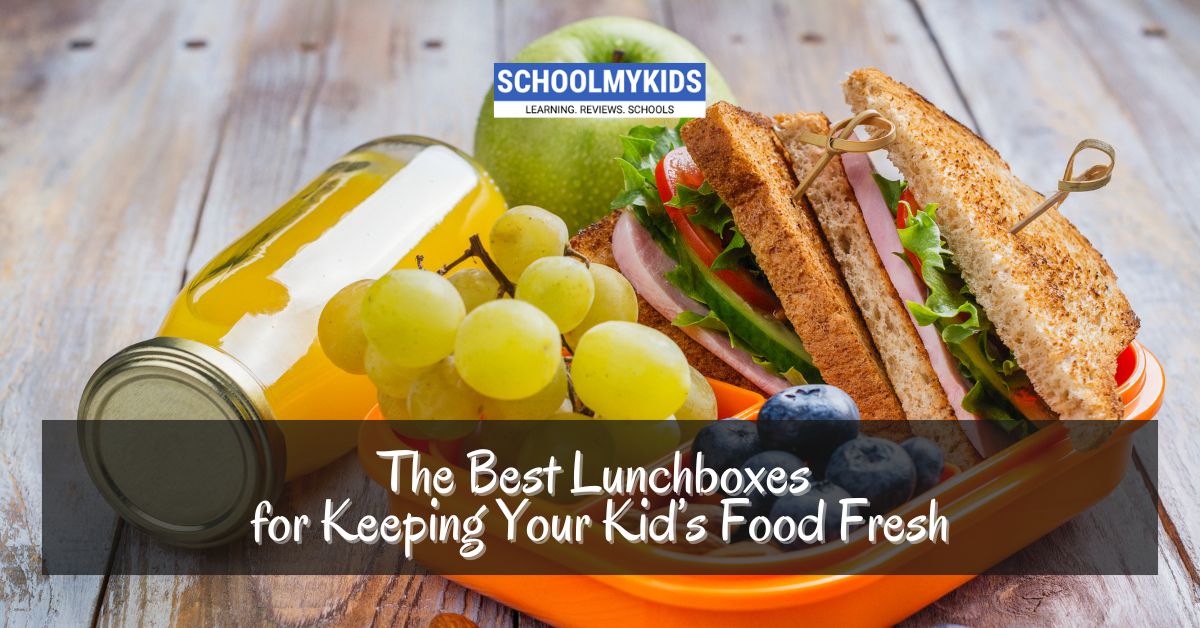 The Best Lunchboxes for Keeping Your Kid's Food Fresh