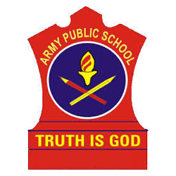 Army Public School, Shahibaug