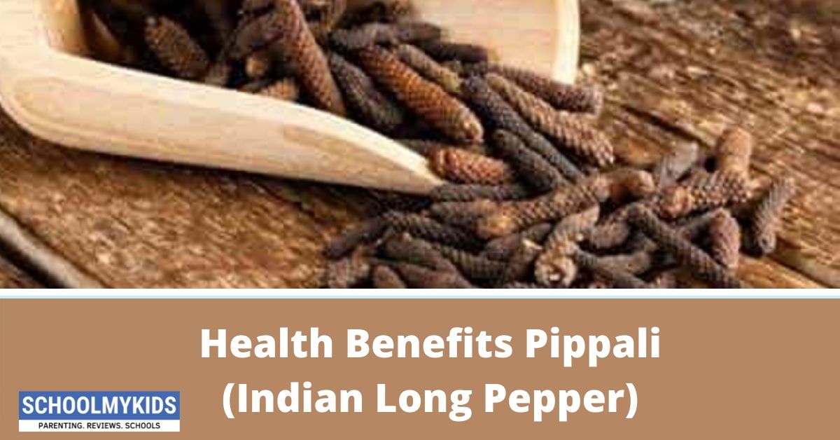 Pippali (Indian Long Pepper) Health Benefits, Uses, Side Effects